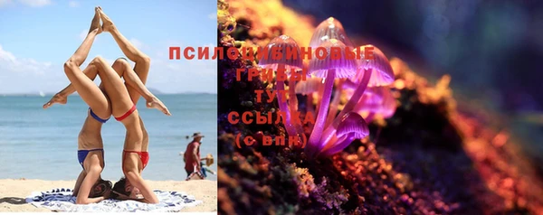 гидропоника Надым