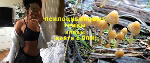 гидропоника Надым